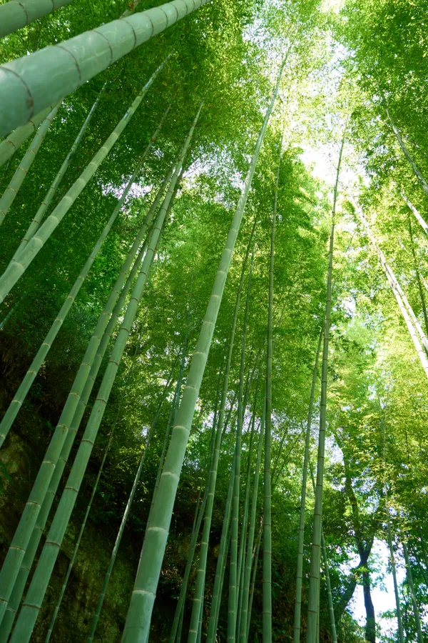 鎌倉 - 神奈川県