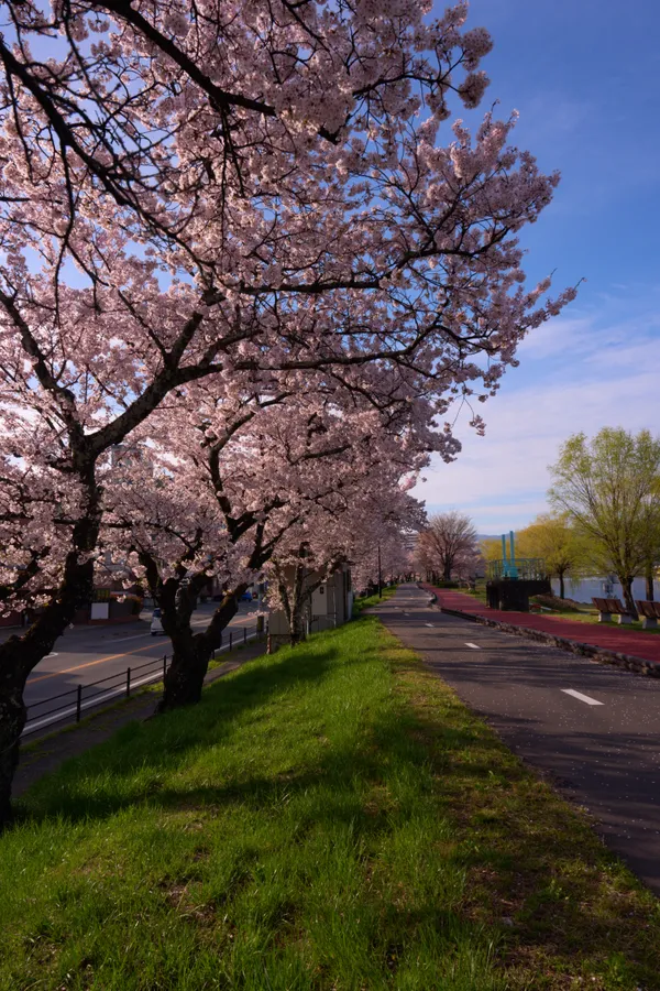 Lake Suwa (2026) — Lake Suwa + Omiwatari Ice | Nagano | Landscapes of Japan