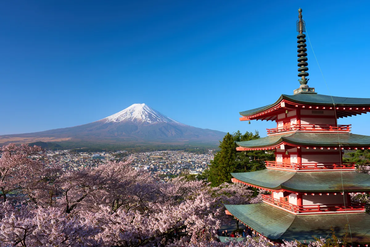 Arakurayama Sengen Park (2026) | Yamanashi | Landscapes of Japan