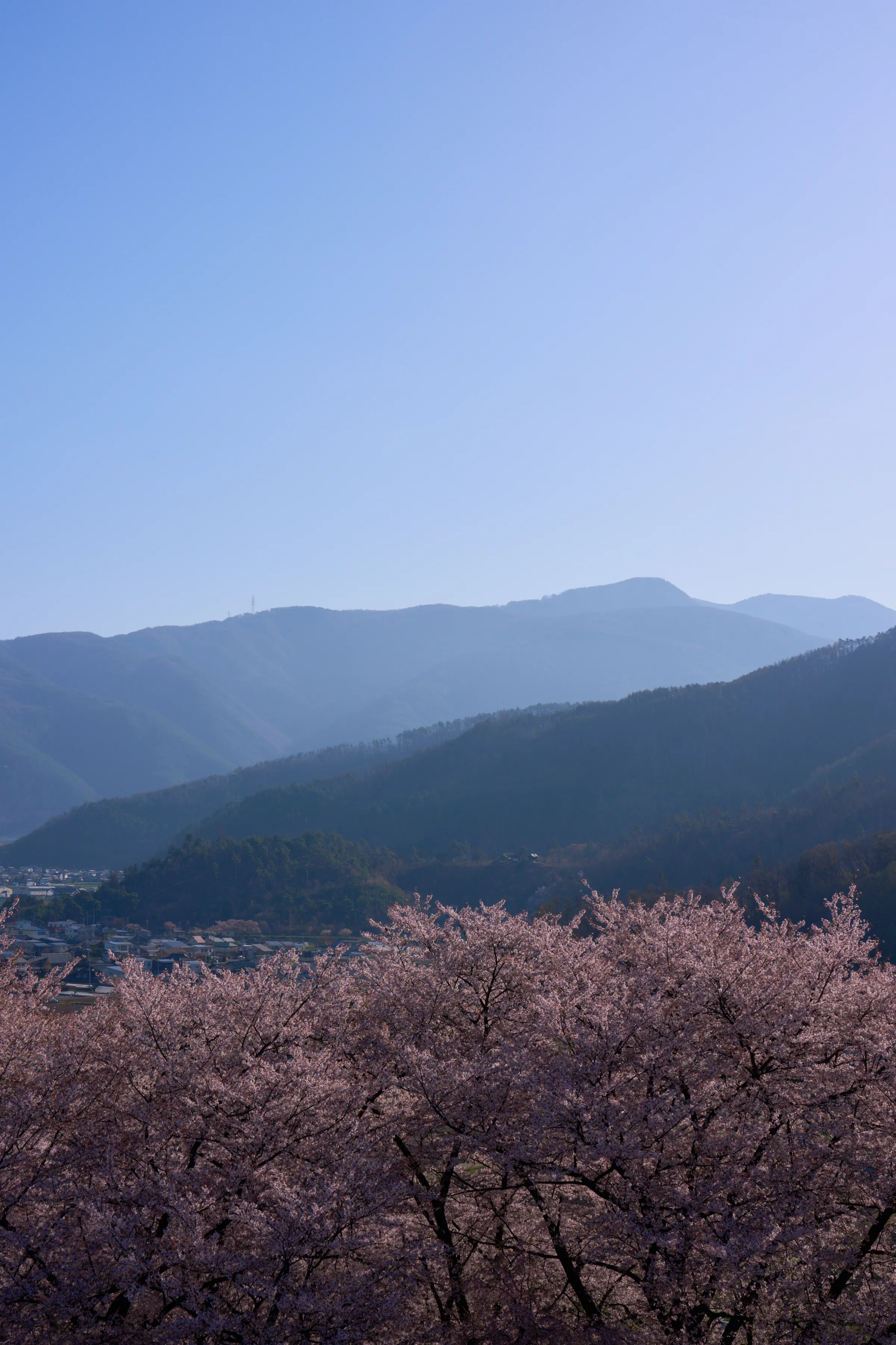 弘法山古墳 (2026) | 長野県 | Landscapes of Japan