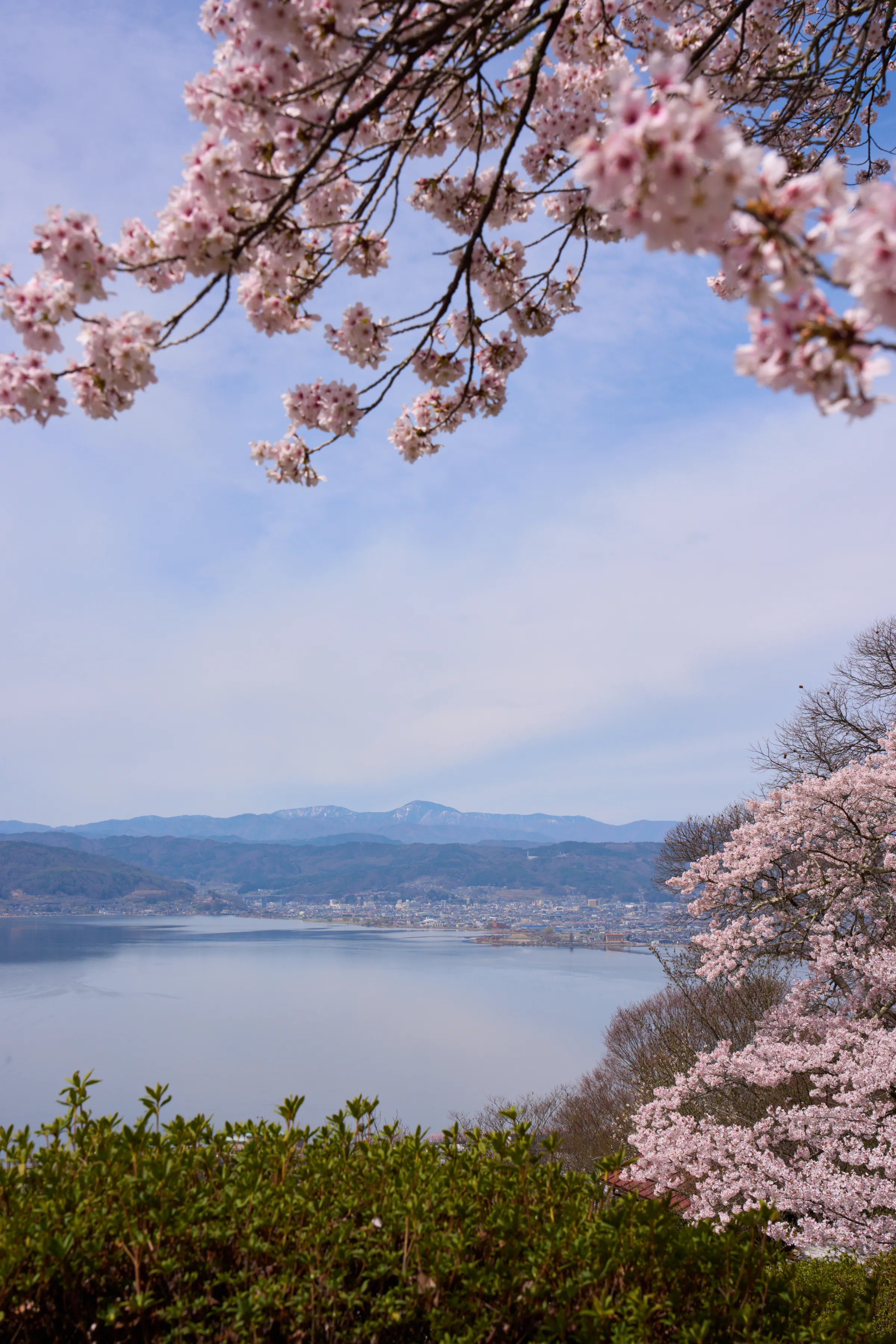 立石公園 (2026) | 長野県 | Landscapes of Japan