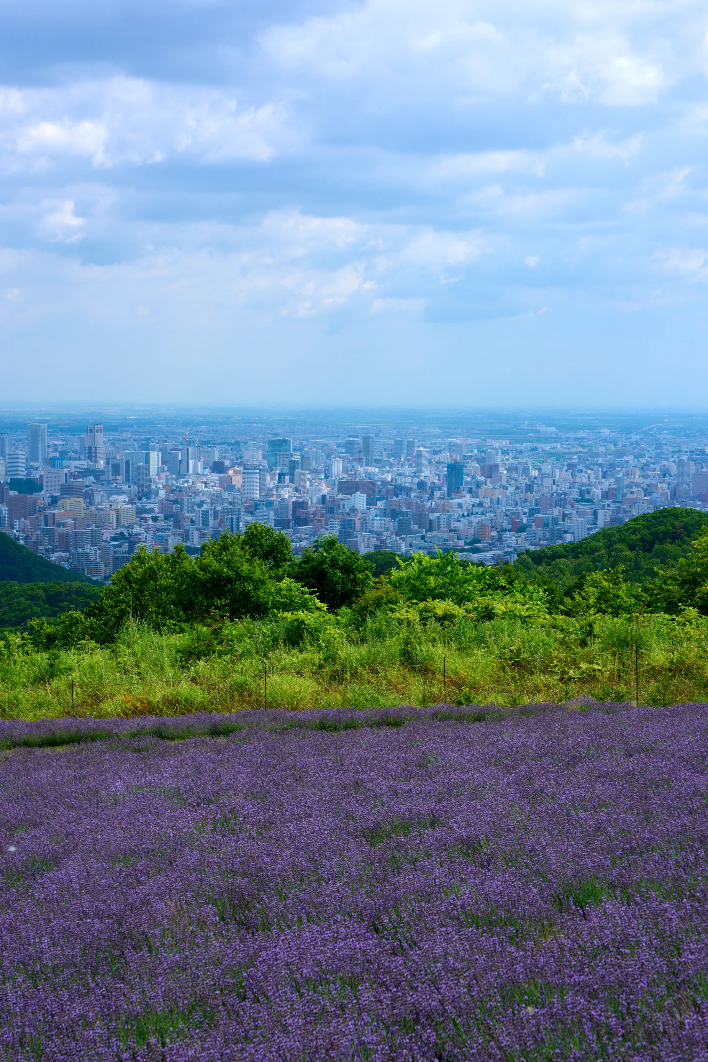 札幌 (2025) | 北海道 | Landscapes of Japan