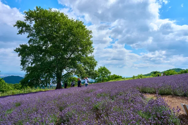 札幌 - 北海道