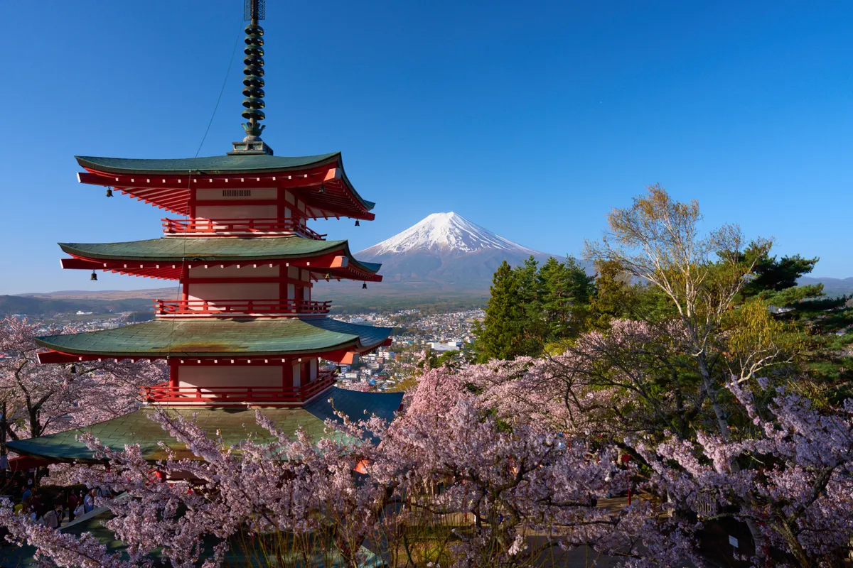Arakurayama Sengen Park (2026) | Yamanashi | Landscapes of Japan