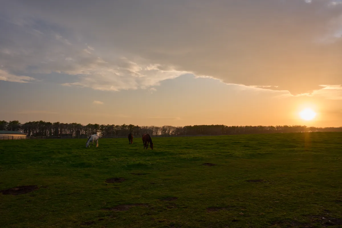 Hidaka (2026) | Hokkaido | Landscapes of Japan