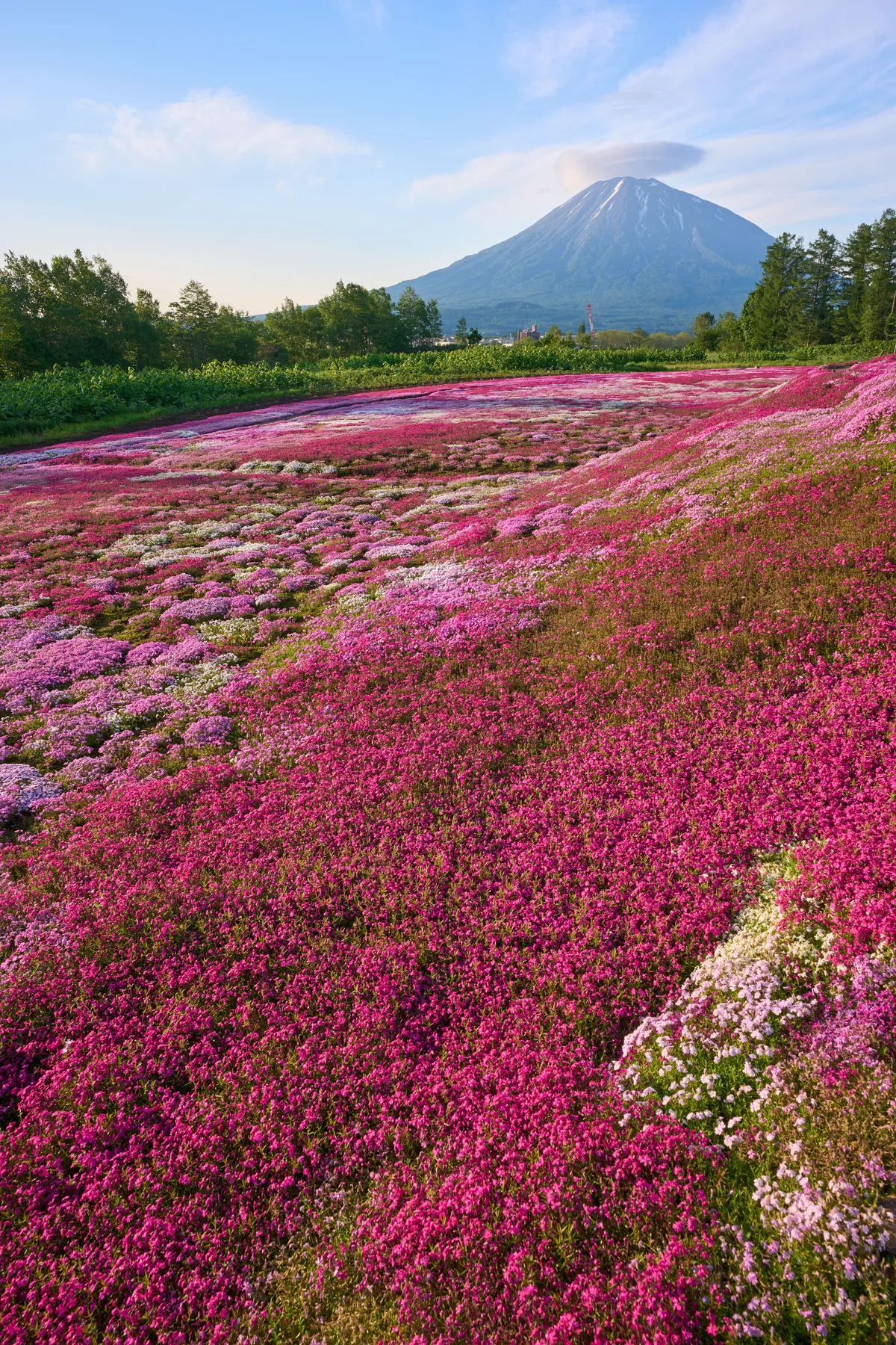 Kutchan (2026) | Hokkaido | Landscapes of Japan