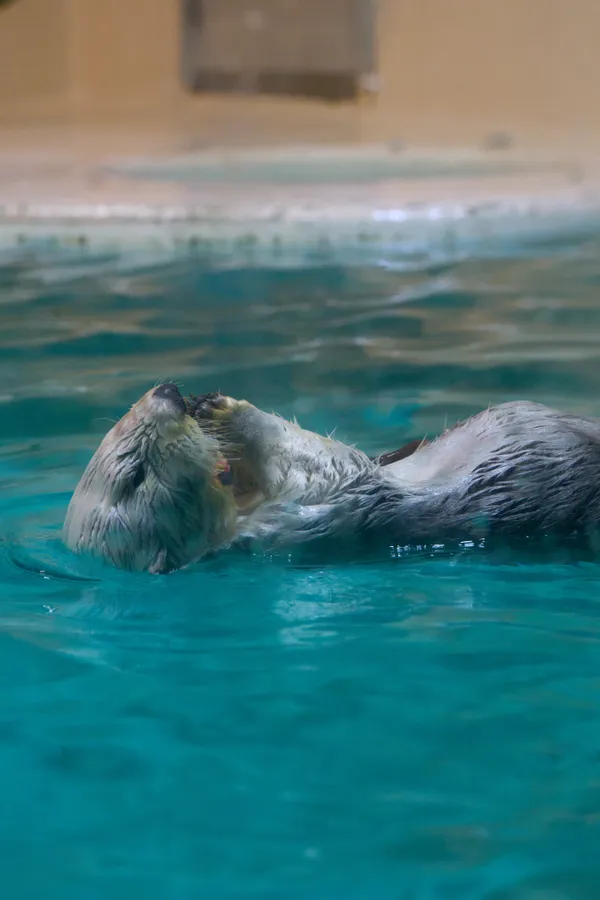鳥羽水族館 - 三重県