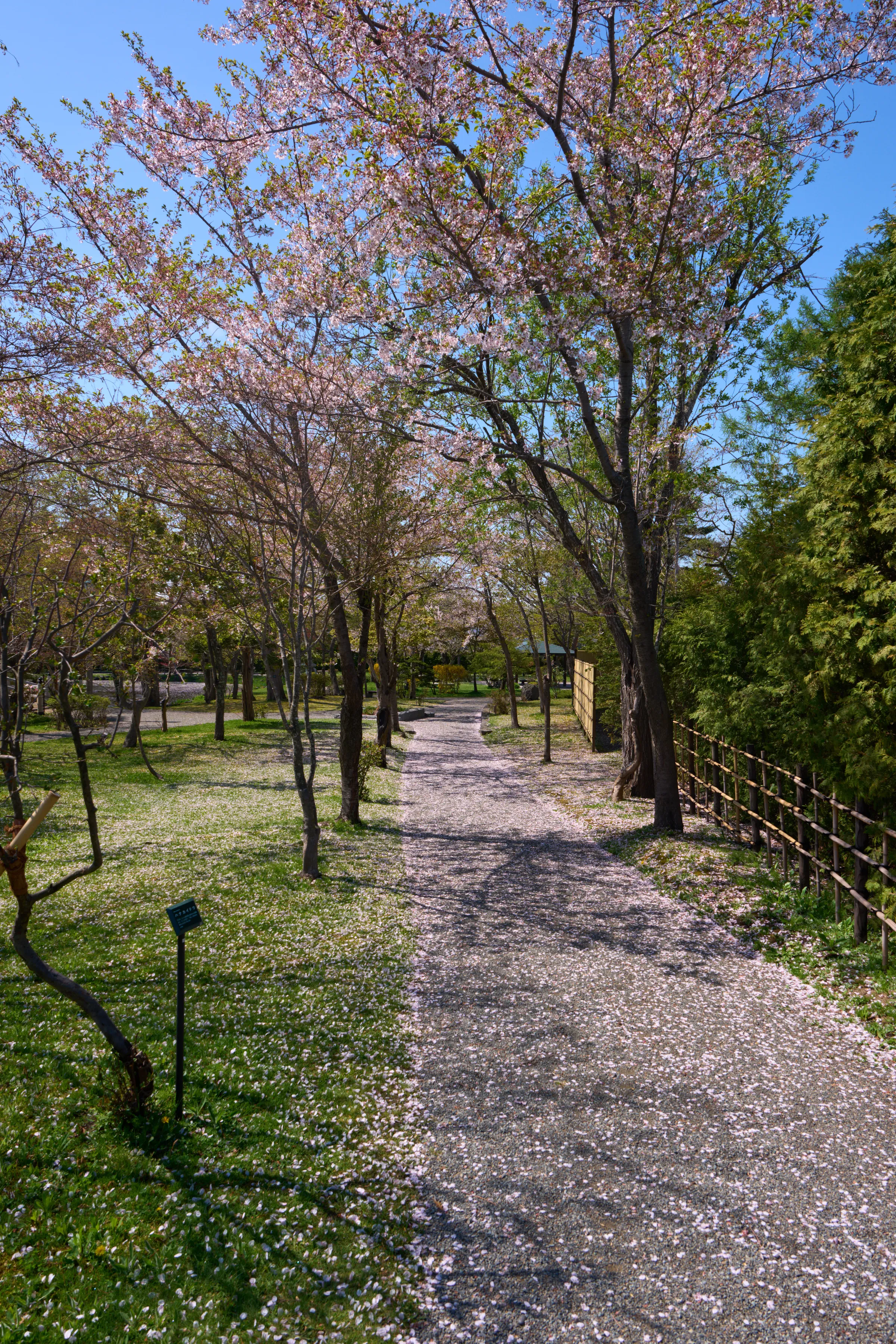 美唄 (2025) | 北海道 | Landscapes of Japan