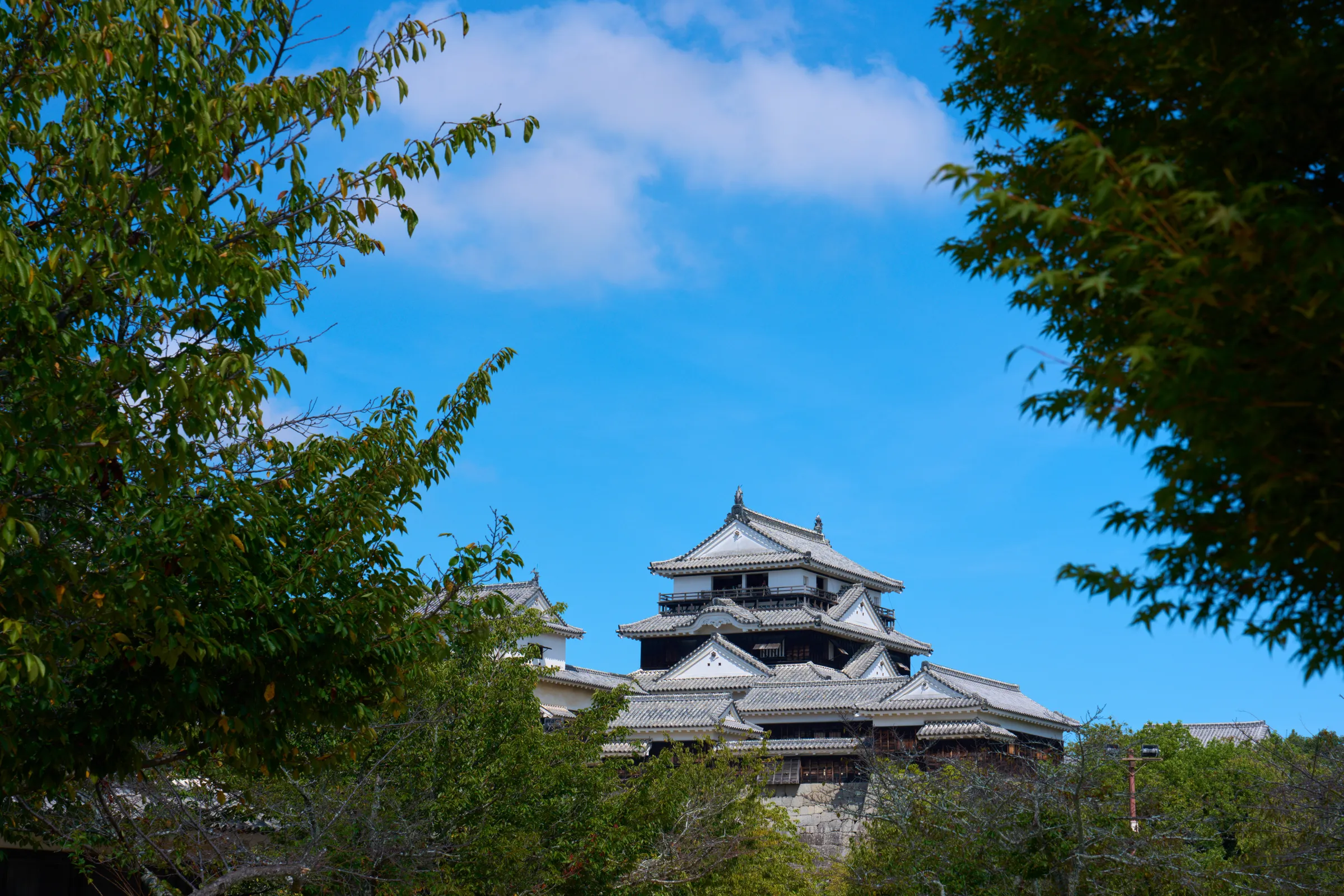 松山城 (2025) | 愛媛県 | Landscapes of Japan