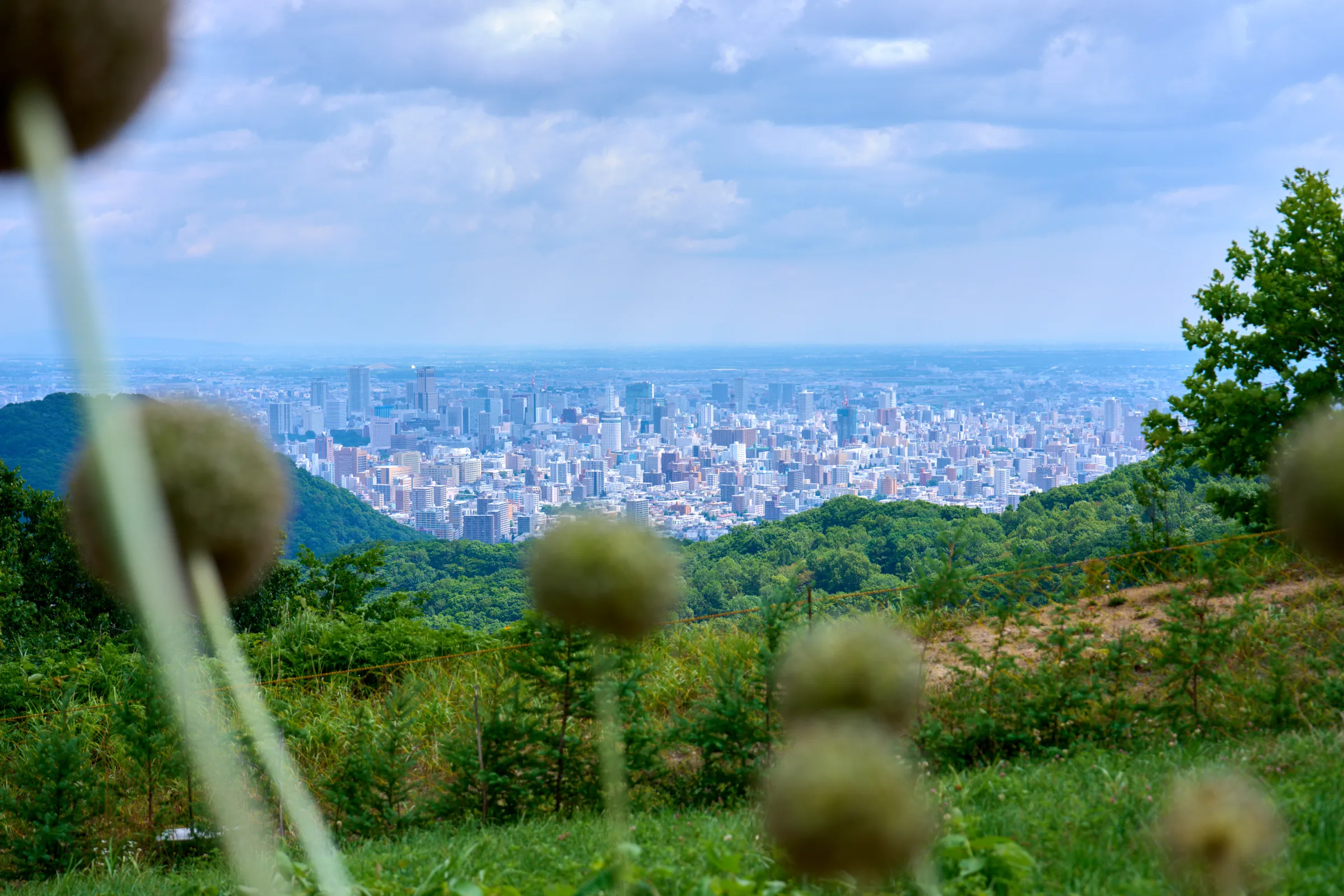 札幌 (2025) | 北海道 | Landscapes of Japan