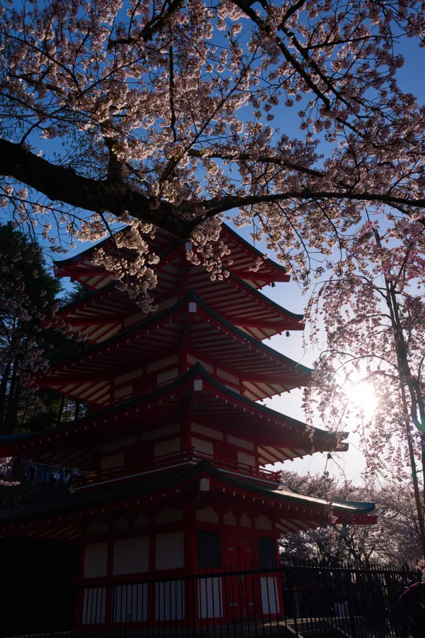 新倉山浅間公園 - 山梨県