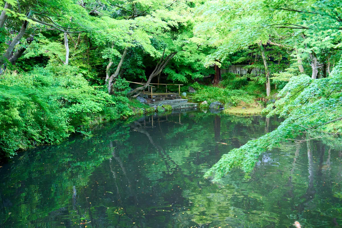 Kamakura - Kanagawa | Temples & Shrines