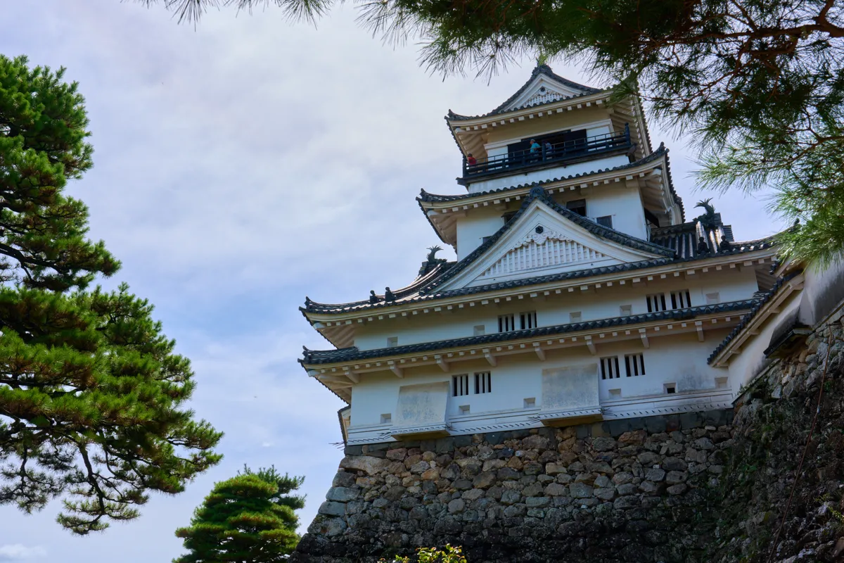 Burg Kochi (2025) | Kochi | Landscapes of Japan