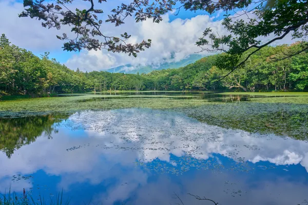 Shiretoko - Hokkaido | Lakes