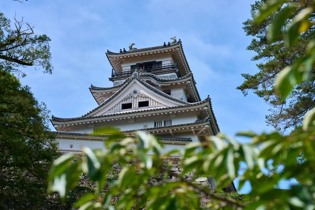 Burg Kochi (2025) | Kochi | Landscapes of Japan