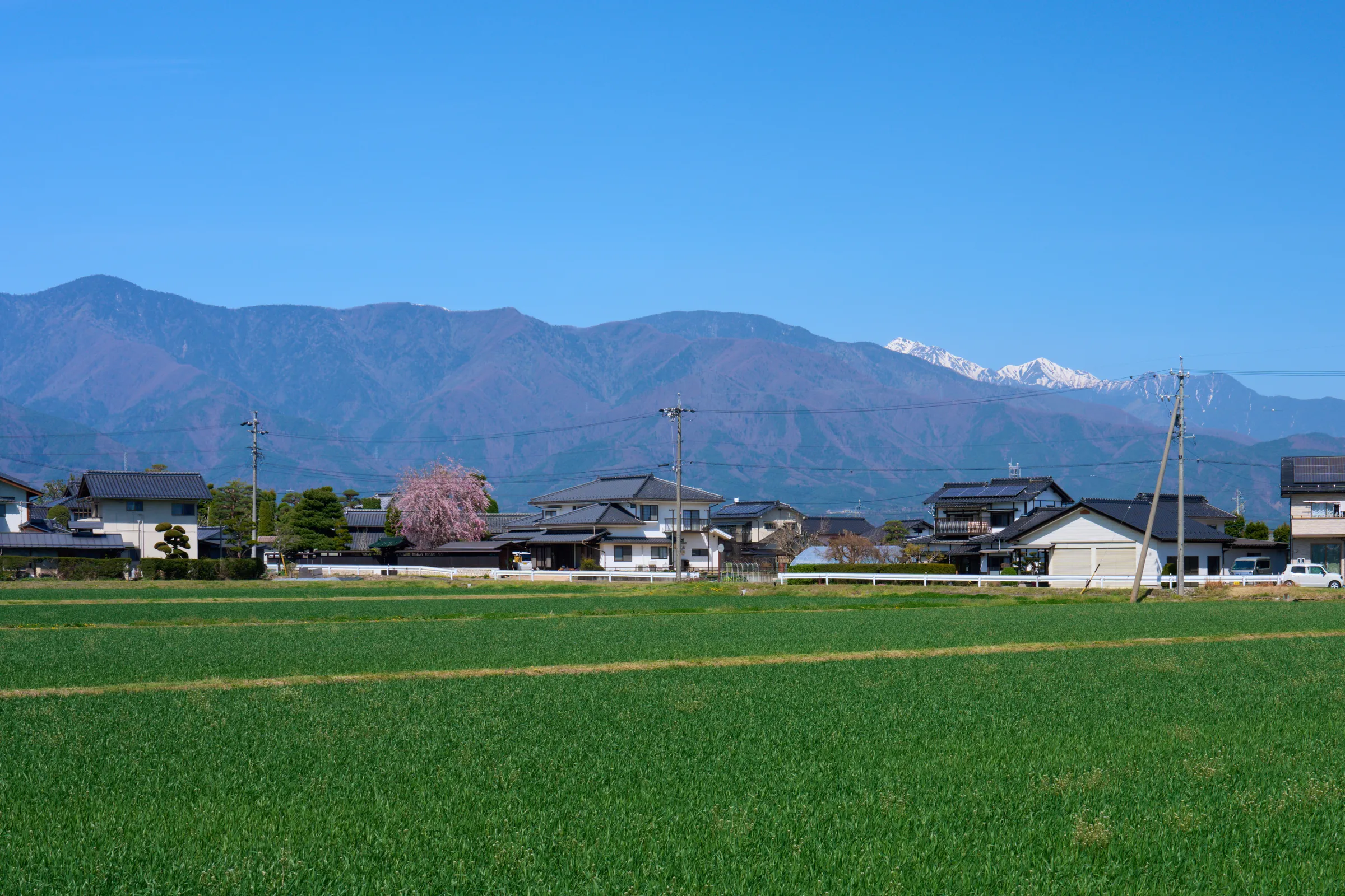 松本市新村 (2026) | 長野県 | Landscapes of Japan