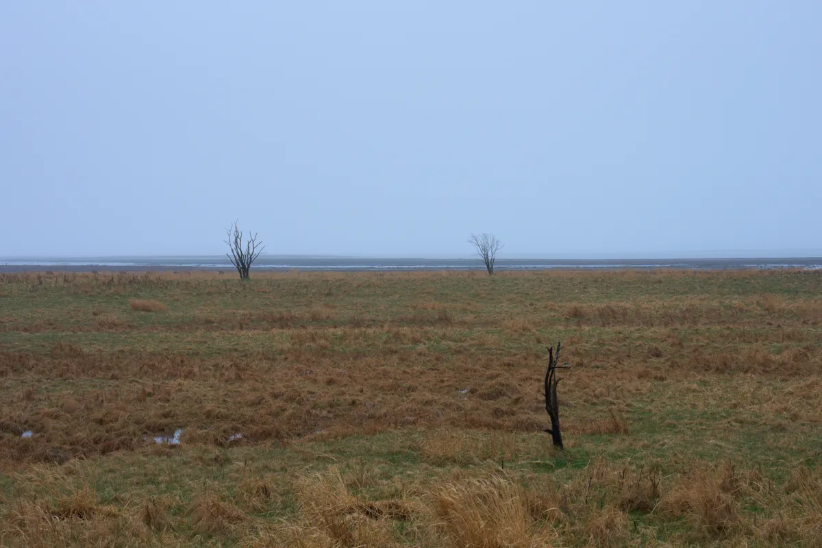Notsuke Peninsula (2026) | Hokkaido | Landscapes of Japan